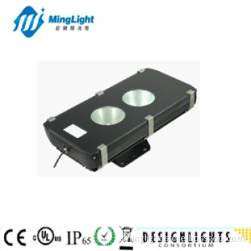 High Power LED Floodlight Bulb with CE, RoHS/LED Floodlight (FL05-200W-277)